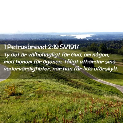 Picture 02 - 1 Petrusbrevet 2:19 SV1917 - Ty det är välbehagligt för Gud, om någon, med - Bible Verse Picture