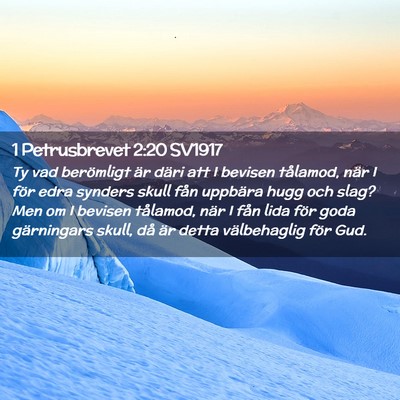 Picture 02 - 1 Petrusbrevet 2:20 SV1917 - Ty vad berömligt är däri att I bevisen - Bible Verse Picture
