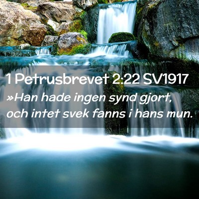 Picture 02 - 1 Petrusbrevet 2:22 SV1917 - »Han hade ingen synd gjort, och intet svek fanns - Bible Verse Picture