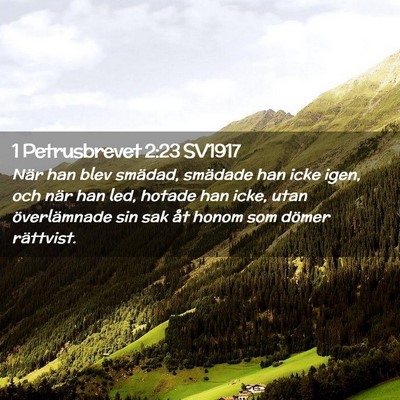 Picture 02 - 1 Petrusbrevet 2:23 SV1917 - När han blev smädad, smädade han icke igen, - Bible Verse Picture
