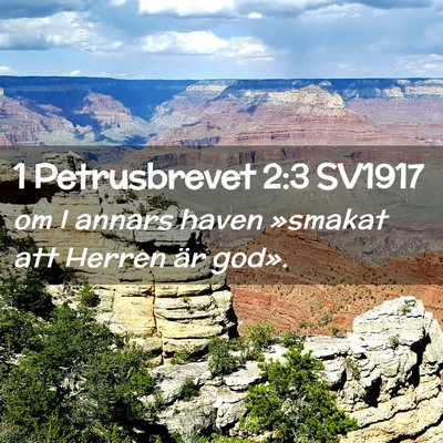 Picture 02 - 1 Petrusbrevet 2:3 SV1917 - om I annars haven »smakat att Herren är - Bible Verse Picture