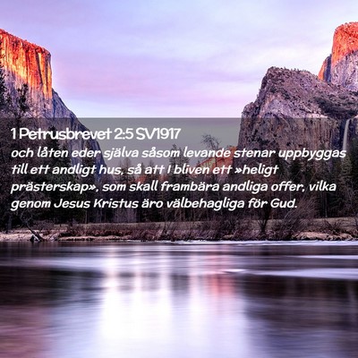 Picture 02 - 1 Petrusbrevet 2:5 SV1917 - och låten eder själva såsom levande stenar - Bible Verse Picture