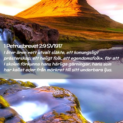 Picture 02 - 1 Petrusbrevet 2:9 SV1917 - I åter ären »ett utvalt släkte, ett - Bible Verse Picture