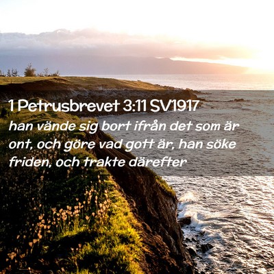 Picture 02 - 1 Petrusbrevet 3:11 SV1917 - han vände sig bort ifrån det som är ont, och - Bible Verse Picture