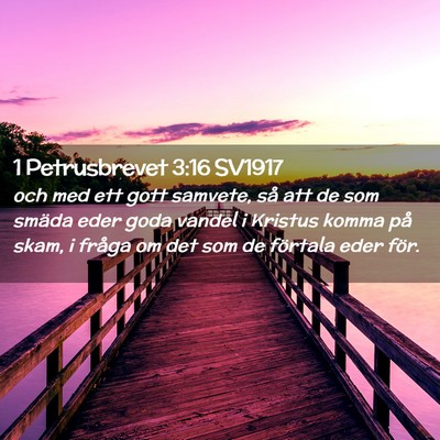 Picture 02 - 1 Petrusbrevet 3:16 SV1917 - och med ett gott samvete, så att de som smäda - Bible Verse Picture