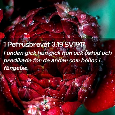 Picture 02 - 1 Petrusbrevet 3:19 SV1917 - I anden gick han gick han ock åstad och - Bible Verse Picture