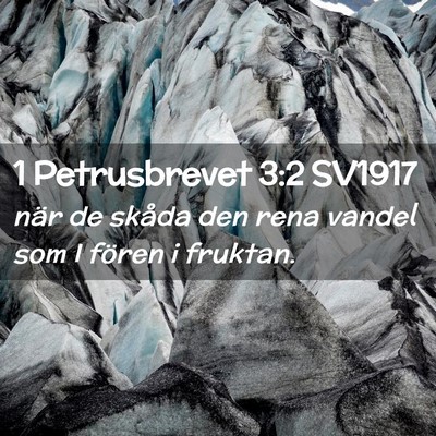 Picture 02 - 1 Petrusbrevet 3:2 SV1917 - när de skåda den rena vandel som I fören i - Bible Verse Picture