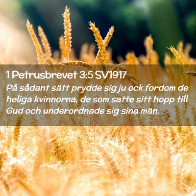 Picture 02 - 1 Petrusbrevet 3:5 SV1917 - På sådant sätt prydde sig ju ock fordom de - Bible Verse Picture