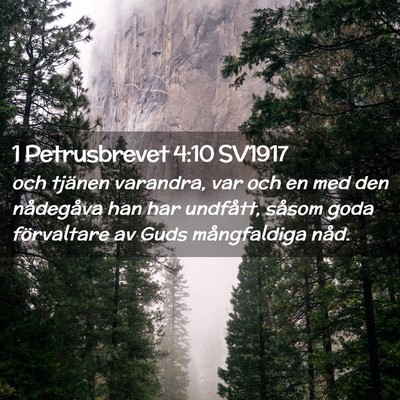Picture 02 - 1 Petrusbrevet 4:10 SV1917 - och tjänen varandra, var och en med den - Bible Verse Picture