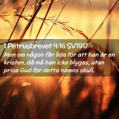 Picture 02 - 1 Petrusbrevet 4:16 SV1917 - Men om någon får lida för att han är en - Bible Verse Picture