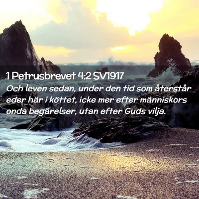 Picture 02 - 1 Petrusbrevet 4:2 SV1917 - Och leven sedan, under den tid som återstår - Bible Verse Picture