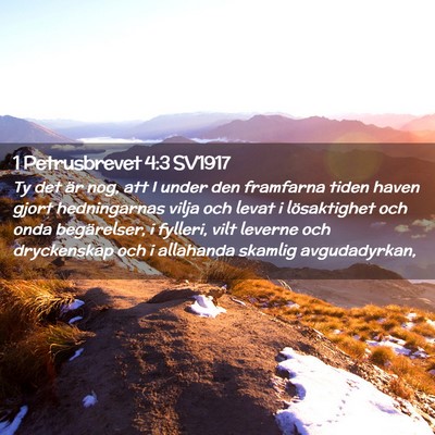 Picture 02 - 1 Petrusbrevet 4:3 SV1917 - Ty det är nog, att I under den framfarna tiden - Bible Verse Picture