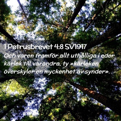 Picture 02 - 1 Petrusbrevet 4:8 SV1917 - Och varen framför allt uthålliga i eder kärlek - Bible Verse Picture