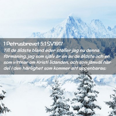 Picture 02 - 1 Petrusbrevet 5:1 SV1917 - Till de äldste bland eder ställer jag nu denna - Bible Verse Picture