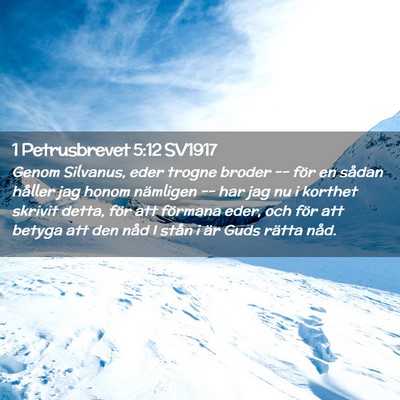 Picture 02 - 1 Petrusbrevet 5:12 SV1917 - Genom Silvanus, eder trogne broder -- för en - Bible Verse Picture