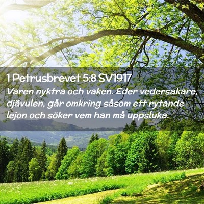Picture 02 - 1 Petrusbrevet 5:8 SV1917 - Varen nyktra och vaken. Eder vedersakare, - Bible Verse Picture
