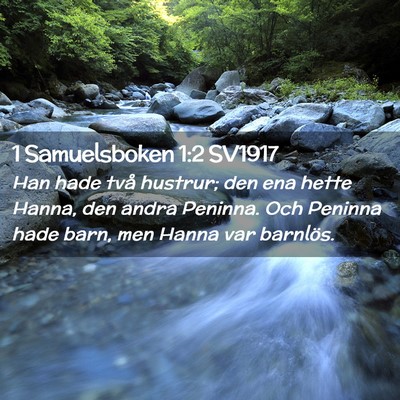 Picture 02 - 1 Samuelsboken 1:2 SV1917 - Han hade två hustrur; den ena hette Hanna, den - Bible Verse Picture