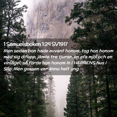 Picture 02 - 1 Samuelsboken 1:24 SV1917 - Men sedan hon hade avvant honom, tog hon honom - Bible Verse Picture