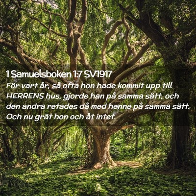 Picture 02 - 1 Samuelsboken 1:7 SV1917 - För vart år, så ofta hon hade kommit upp till - Bible Verse Picture