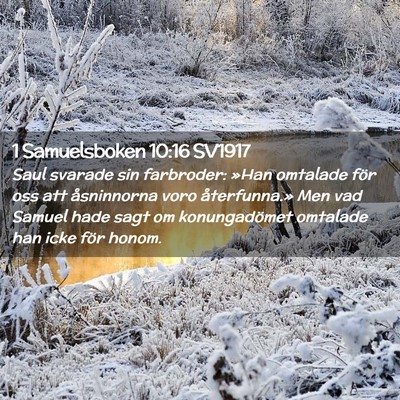 Picture 02 - 1 Samuelsboken 10:16 SV1917 - Saul svarade sin farbroder: »Han omtalade för - Bible Verse Picture