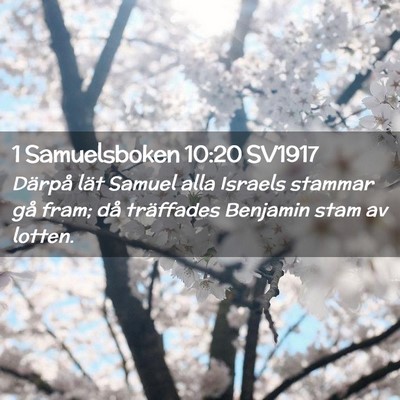 Picture 02 - 1 Samuelsboken 10:20 SV1917 - Därpå lät Samuel alla Israels stammar gå - Bible Verse Picture