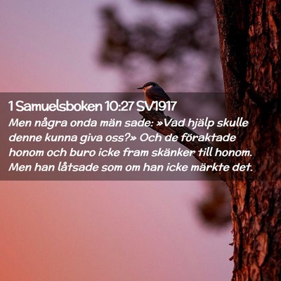 Picture 02 - 1 Samuelsboken 10:27 SV1917 - Men några onda män sade: »Vad hjälp skulle - Bible Verse Picture