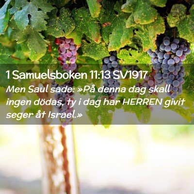 Picture 02 - 1 Samuelsboken 11:13 SV1917 - Men Saul sade: »På denna dag skall ingen - Bible Verse Picture