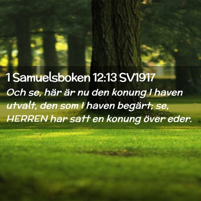 Picture 02 - 1 Samuelsboken 12:13 SV1917 - Och se, här är nu den konung I haven utvalt, - Bible Verse Picture