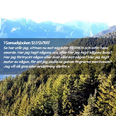 Picture 02 - 1 Samuelsboken 12:3 SV1917 - Se har står jag, vittnen nu mot mig inför - Bible Verse Picture