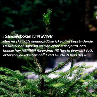 Picture 02 - 1 Samuelsboken 13:14 SV1917 - Men nu skall ditt konungadöme icke bliva - Bible Verse Picture