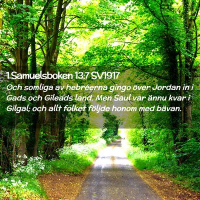 Picture 02 - 1 Samuelsboken 13:7 SV1917 - Och somliga av hebréerna gingo över Jordan in i - Bible Verse Picture
