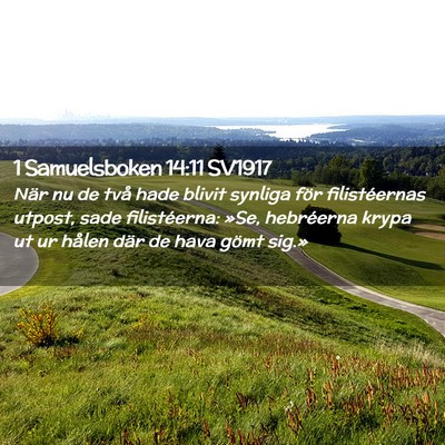 Picture 02 - 1 Samuelsboken 14:11 SV1917 - När nu de två hade blivit synliga för - Bible Verse Picture