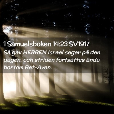 Picture 02 - 1 Samuelsboken 14:23 SV1917 - Så gav HERREN Israel seger på den dagen, och - Bible Verse Picture