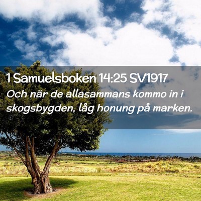 Picture 02 - 1 Samuelsboken 14:25 SV1917 - Och när de allasammans kommo in i skogsbygden, - Bible Verse Picture