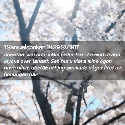 Picture 02 - 1 Samuelsboken 14:29 SV1917 - Jonatan svarade: »Min fader har därmed dragit - Bible Verse Picture