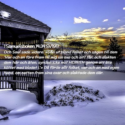 Picture 02 - 1 Samuelsboken 14:34 SV1917 - Och Saul sade vidare: »Gån ut bland folket och - Bible Verse Picture