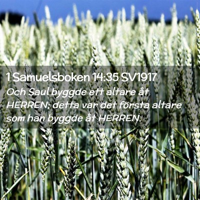 Picture 02 - 1 Samuelsboken 14:35 SV1917 - Och Saul byggde ett altare åt HERREN; detta var - Bible Verse Picture