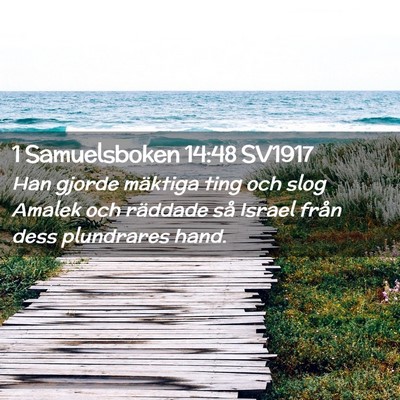 Picture 02 - 1 Samuelsboken 14:48 SV1917 - Han gjorde mäktiga ting och slog Amalek och - Bible Verse Picture