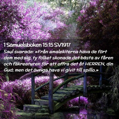 Picture 02 - 1 Samuelsboken 15:15 SV1917 - Saul svarade: »Från amalekiterna hava de fört - Bible Verse Picture