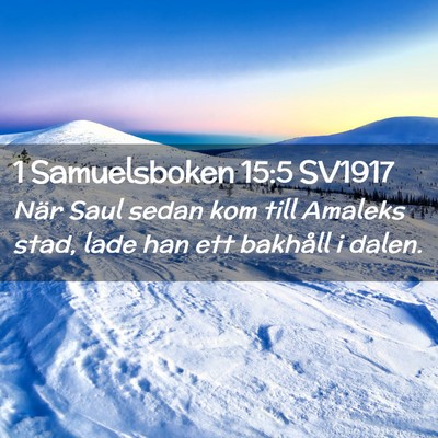 Picture 02 - 1 Samuelsboken 15:5 SV1917 - När Saul sedan kom till Amaleks stad, lade han - Bible Verse Picture