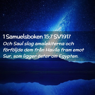 Picture 02 - 1 Samuelsboken 15:7 SV1917 - Och Saul slog amalekiterna och förföljde dem - Bible Verse Picture