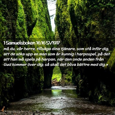Picture 02 - 1 Samuelsboken 16:16 SV1917 - må du, vår herre, tillsäga dina tjänare, som - Bible Verse Picture