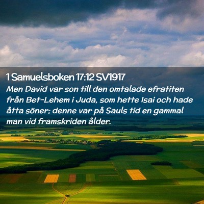 Picture 02 - 1 Samuelsboken 17:12 SV1917 - Men David var son till den omtalade efratiten - Bible Verse Picture
