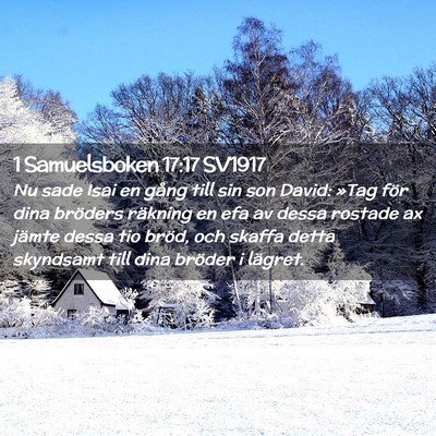 Picture 02 - 1 Samuelsboken 17:17 SV1917 - Nu sade Isai en gång till sin son David: »Tag - Bible Verse Picture