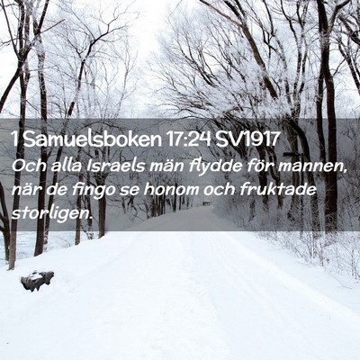 Picture 02 - 1 Samuelsboken 17:24 SV1917 - Och alla Israels män flydde för mannen, när de - Bible Verse Picture