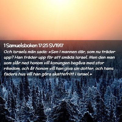 Picture 02 - 1 Samuelsboken 17:25 SV1917 - Och Israels män sade: »Sen I mannen där, som - Bible Verse Picture