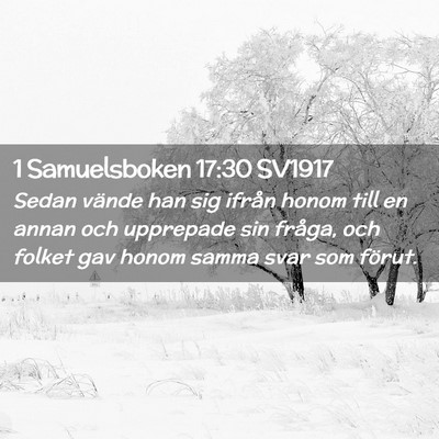 Picture 02 - 1 Samuelsboken 17:30 SV1917 - Sedan vände han sig ifrån honom till en annan - Bible Verse Picture
