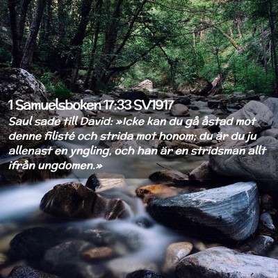 Picture 02 - 1 Samuelsboken 17:33 SV1917 - Saul sade till David: »Icke kan du gå åstad - Bible Verse Picture