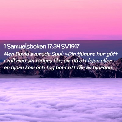 Picture 02 - 1 Samuelsboken 17:34 SV1917 - Men David svarade Saul: »Din tjänare har gått - Bible Verse Picture