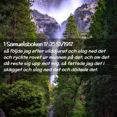 Picture 02 - 1 Samuelsboken 17:35 SV1917 - så följde jag efter vilddjuret och slog ned det - Bible Verse Picture